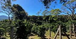 Terreno de Oportunidad en El Salto, Boquete, Vistas a la Montaña, Pacífico y Potencial Cafetalero
