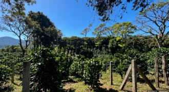 Terreno de Oportunidad en El Salto, Boquete, Vistas a la Montaña, Pacífico y Potencial Cafetalero