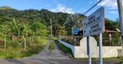 Finca de Café Productora de 2 Hectáreas en Alto Lino, Boquete  Vistas Panorámicas y Agua Viva