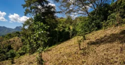 Finca de Café Productora de 2 Hectáreas en Alto Lino, Boquete  Vistas Panorámicas y Agua Viva