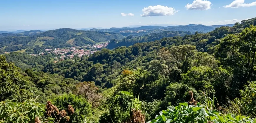 Finca de Café Productora de 2 Hectáreas en Alto Lino, Boquete  Vistas Panorámicas y Agua Viva