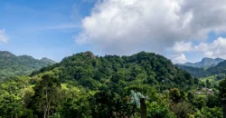 Finca de Café Productora de 2 Hectáreas en Alto Lino, Boquete  Vistas Panorámicas y Agua Viva