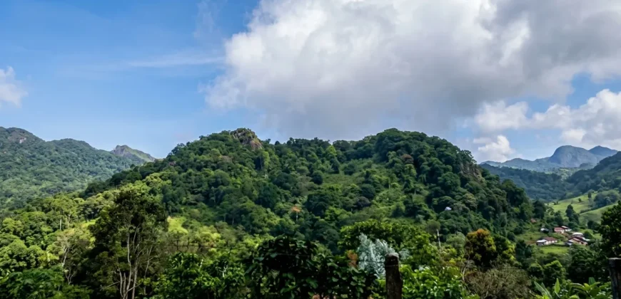 Finca de Café Productora de 2 Hectáreas en Alto Lino, Boquete  Vistas Panorámicas y Agua Viva