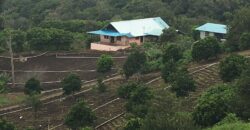 Finca Cafetera de Alta Altitud en Palmira, Boquete