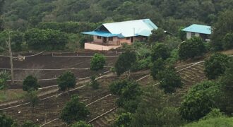 Finca Cafetera de Alta Altitud en Palmira, Boquete